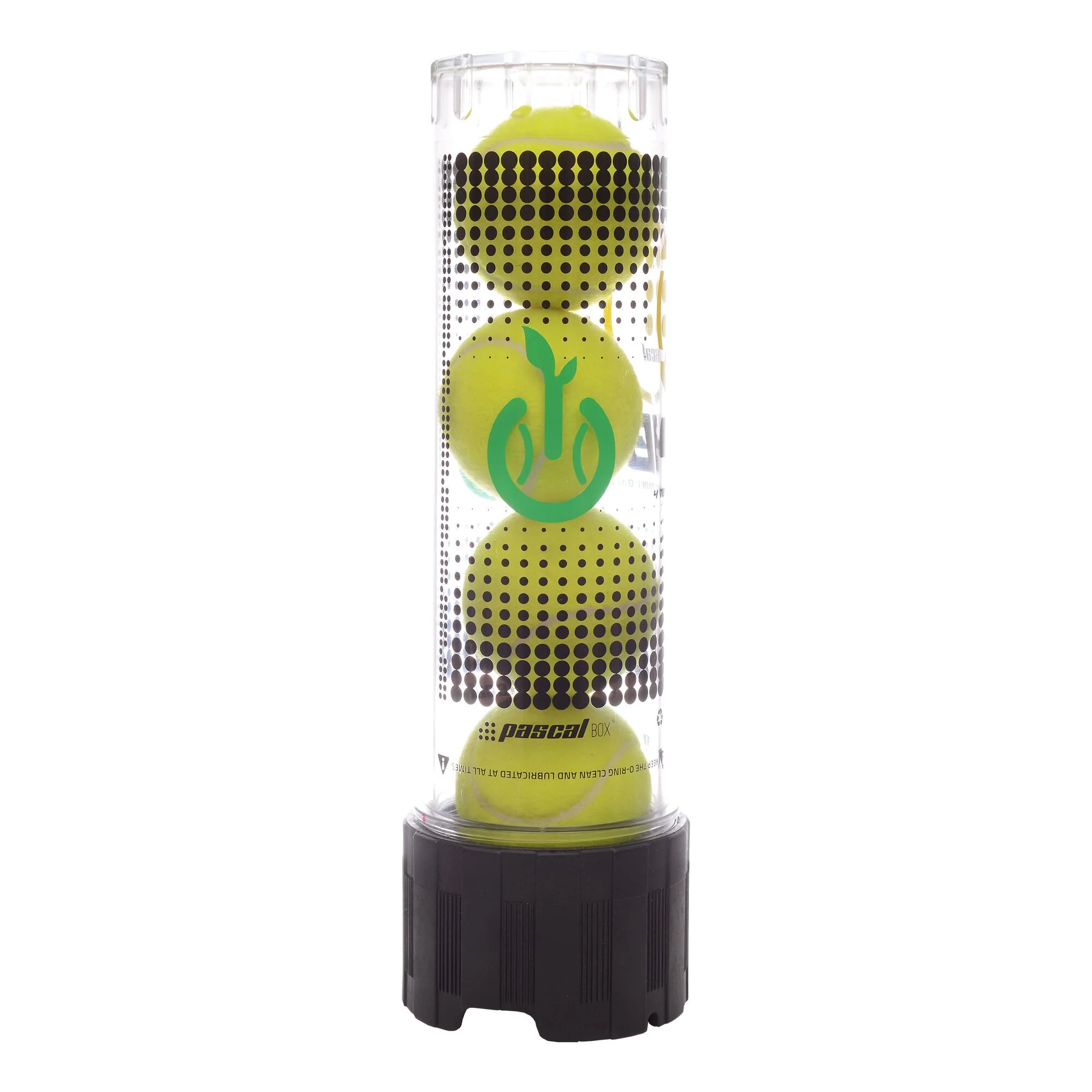 Pascal Box 4B - Nero, Trasparente - immagine 2