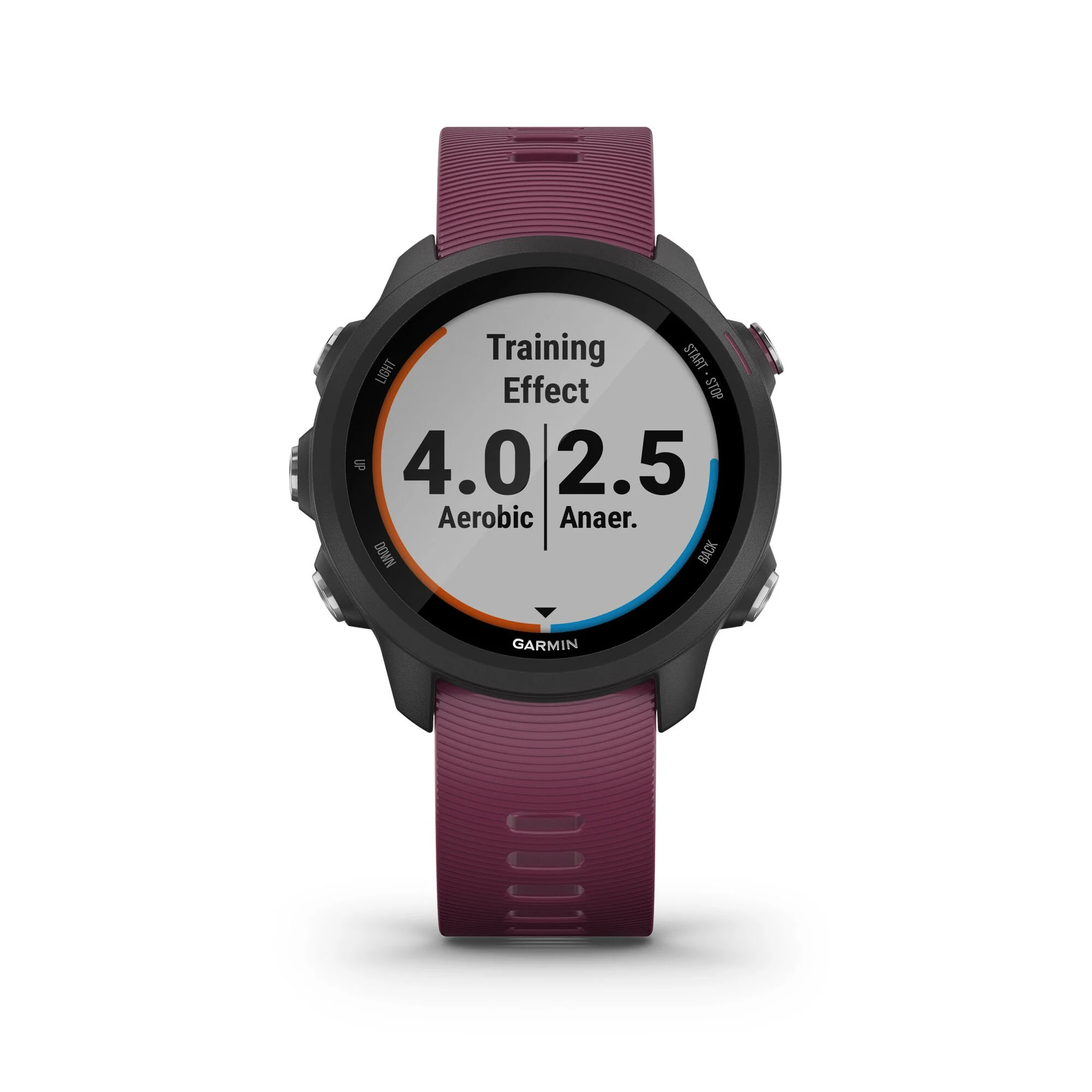 Garmin Forerunner 245 Orologio Da Polso - Berry, Nero - immagine 4