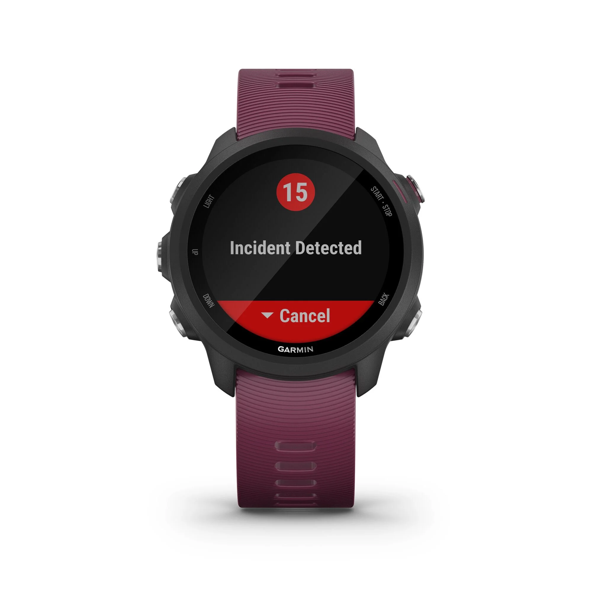 Garmin Forerunner 245 Orologio Da Polso - Berry, Nero - immagine 6